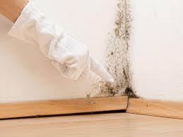 Best Mold Remediation for Healthcare Facilities  in East Newark, NJ